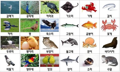 Image result for Computer Process System Images