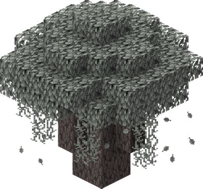 Tree/Structure – Minecraft Wiki