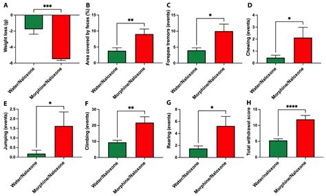 Chronic Voluntary Morphine Intake Is Associated with Changes in Brain ...