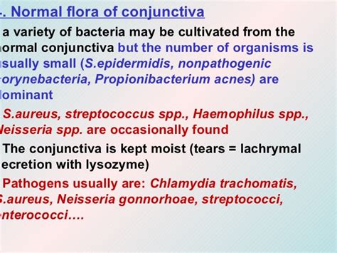 Mixed Urogenital Flora In Urine Means at Roxanne Bell blog
