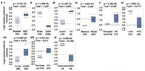 Multiomics Analysis Reveals that GLS and GLS2 Differentially Modulate ...