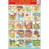 ANIMALS & THEIR YOUNG ONES CHART SIZE 12X18 (INCHS) 300GSM ARTCARD
