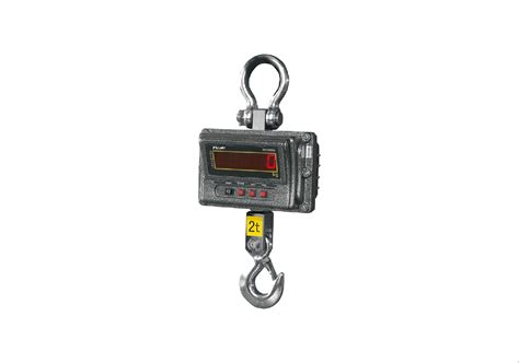 Digital Hanging Scale