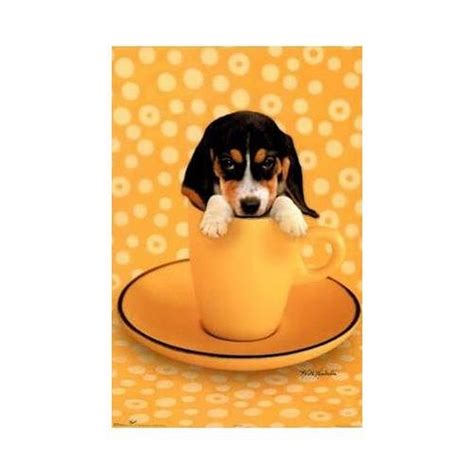 Buyartforless Beagle Caff-Fur-ino in a Coffee Cup 34x22.5 Art Print ...