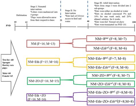 Neonatal Orally Administered Zingerone Attenuates Alcohol-Induced Fatty ...