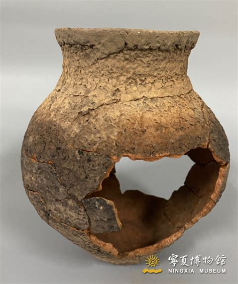 2020年文物保护修复中心工作总结 - 宁夏回族自治区博物馆