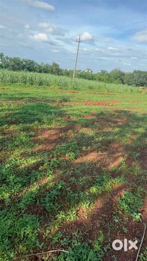 3 acre land agriculture with one will - Lands & Plots - 1812100599