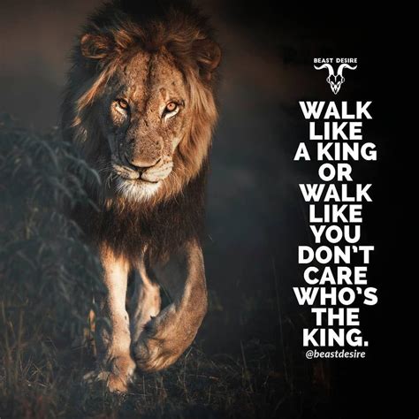 Lion Quotes Wallpapers - Top Free Lion Quotes Backgrounds - WallpaperAccess