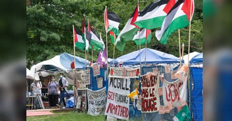 Program offering 'revolutionary education' begins at McGill pro ...