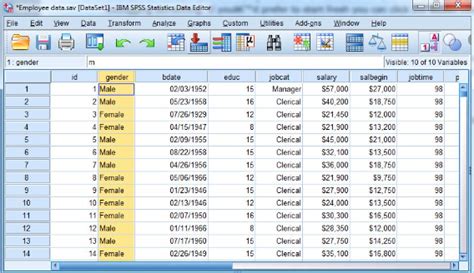 Image result for SPSS Calculation