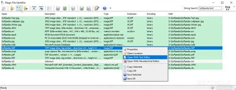 Image result for File Identifier