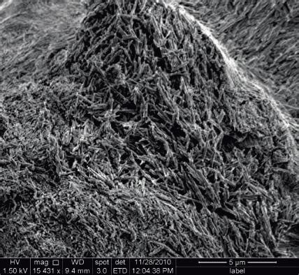 Image result for Define Compacted