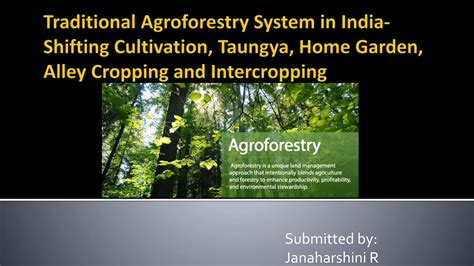 Traditional Agroforestry System in India- Shifting Cultivation, Taungya ...