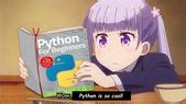 Image result for Python Coder PFP