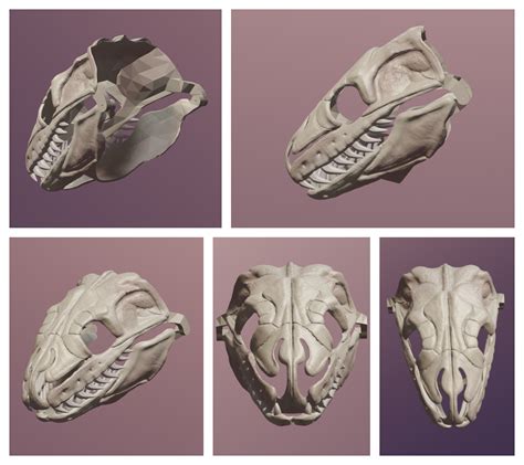 Image result for Carpet Python Skull