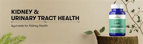 Natural Kidney Health Supplements Collection – Prakruti