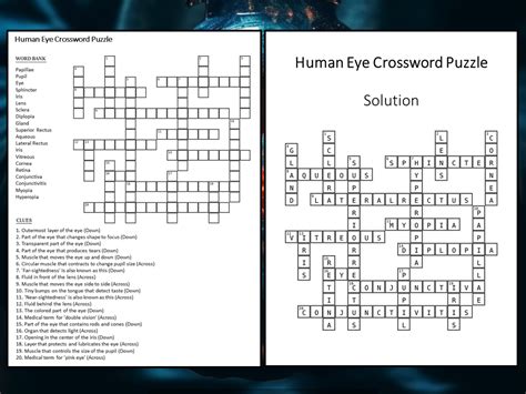 Human Eye Diagram Crossword Answers at Della Gonzales blog