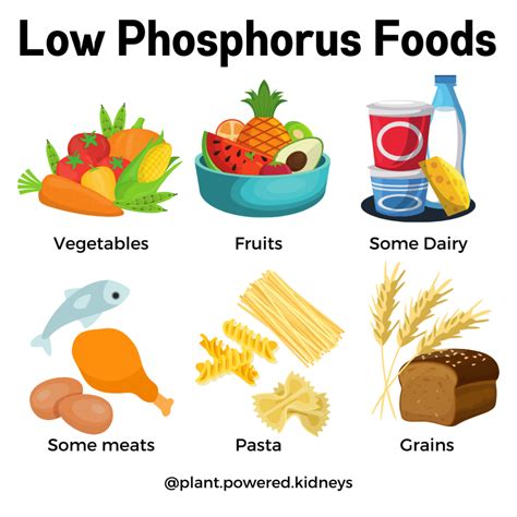 Low Phosphorus Foods - Plant-Powered Kidneys