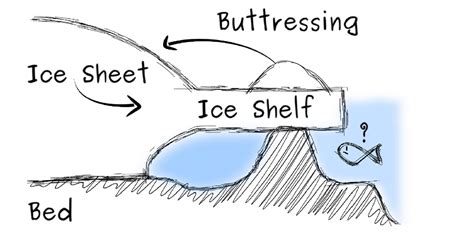 Interview: Studying the South Pole From the North Pole - The Wire