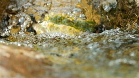 Image result for Water Animation JavaScript