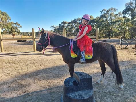 Unicorn Christmas Party, Rebel Equestrian Centre - Berringa, Ballan, 21 ...