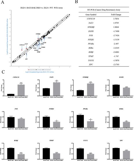 Frontiers | A Novel Drug Resistance Mechanism: Genetic Loss of Xeroderma Pigmentosum ...