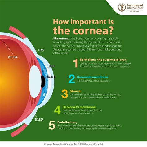 Cornea Function