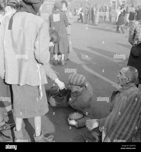THE LIBERATION OF BERGEN-BELSEN CONCENTRATION CAMP, APRIL 1945 - An ...