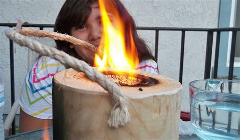 Image result for One Log Fire Log