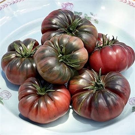 Black Krim Ribbed Beefsteak Tomato Seeds – Exotic Heirloom Tomato Variety