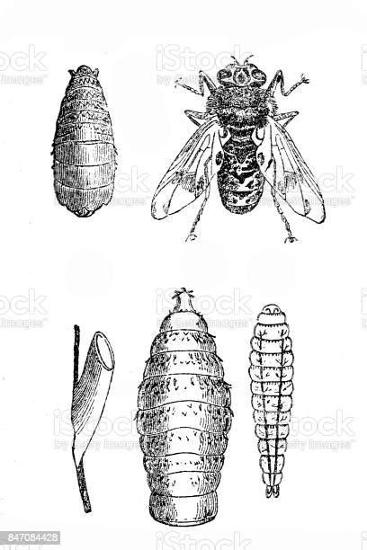 Image result for Digital Matrix Code