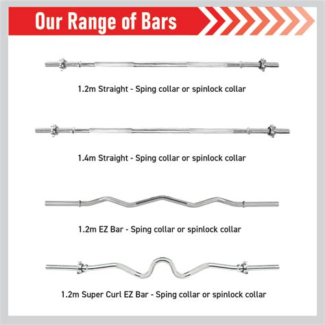 Hammer Curl Bar, Triceps Curl Bar – Body Revolution