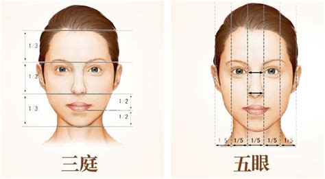五官分散集中自測！臉型「內外輪廓」是重點，更修飾臉型、五官更精緻，臉型比例更協調