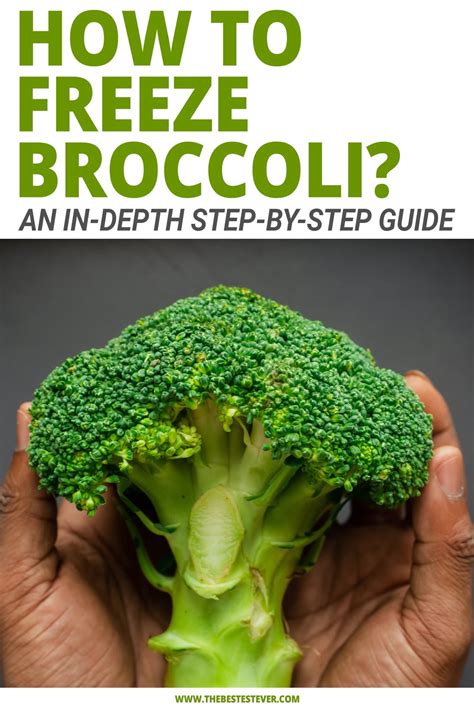 How I Freeze Broccoli (So It Stays Bright and Tastes Fresh)