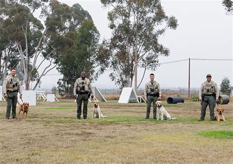 San Diego County Sheriff | Home