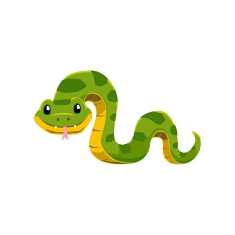 Image result for Flash Source Code