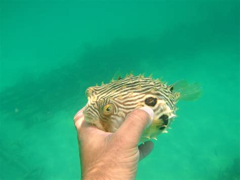 VISIT SHELL ISLAND (2025) All You Need to Know BEFORE You Go (with ...