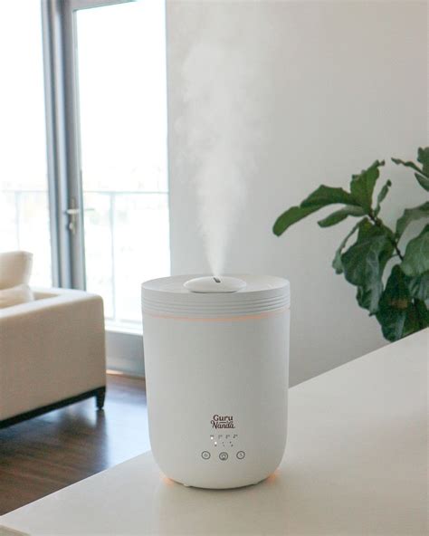 Do Humidifiers Cause Runny Nose at Helen Ervin blog