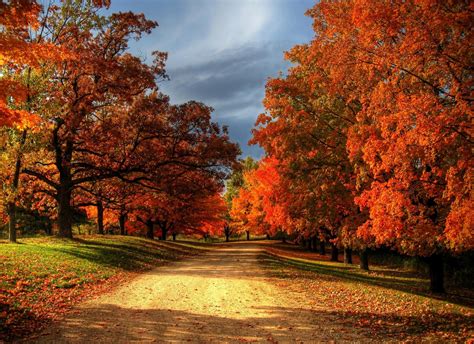 Image result for Fall Ceiling Design for Hall