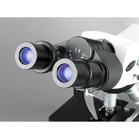 Buy AmScope B690B Siedentopf Binocular Compound Microscope, 40X-2000X ...