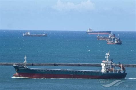 MUSTAFA AFANDI, Bulk Carrier - Details and current position - IMO ...