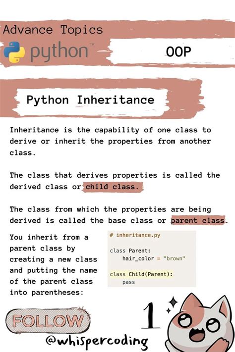 Image result for Python Beginners OOP Coding
