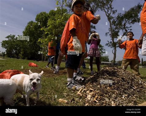 Justin Cisneros (age), third grader from Harmon Johnson Elementary ...
