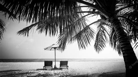 Premium Photo | Perfect black and white beach scene. dramatic silhouette of coconut palm tree ...