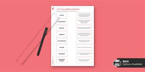 Plant Cell Components Match and Draw (teacher made) - Twinkl