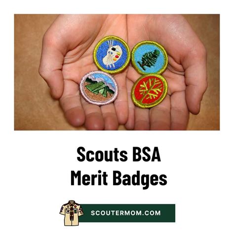 Digital Technology Merit Badge for 2026: Free Resources and Answers ...