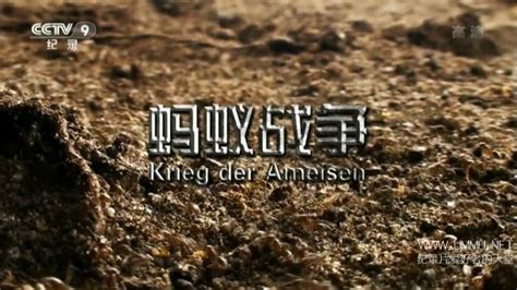 德国纪录片《蚂蚁战争 Krieg der Ameisen 2012》国语中字 央视引进版 1080i/TS/3.38G 蚂蚁纪录片下载-纪录天堂