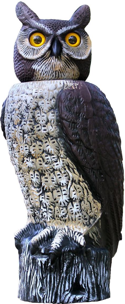 Gardeneer by Dalen SOL-R Action Owl - Solar Powered India | Ubuy