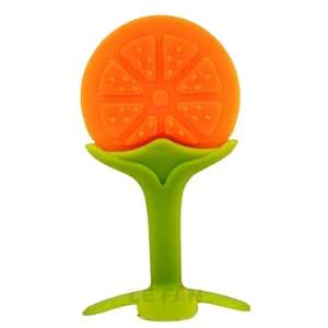 Buy Lefan Silicone Fruit Teether Ideal for 6 to 12 Months Baby BPA Free ...