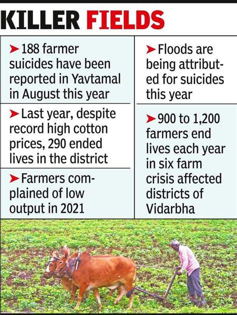 Cotton: Yavatmal Sees 43 Farmer Suicides In Aug | - Times of India